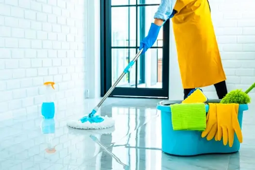 Limpieza y<br> Mantenimiento